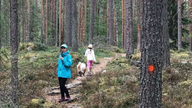 päiväretki lähimetsissä lasten kanssa